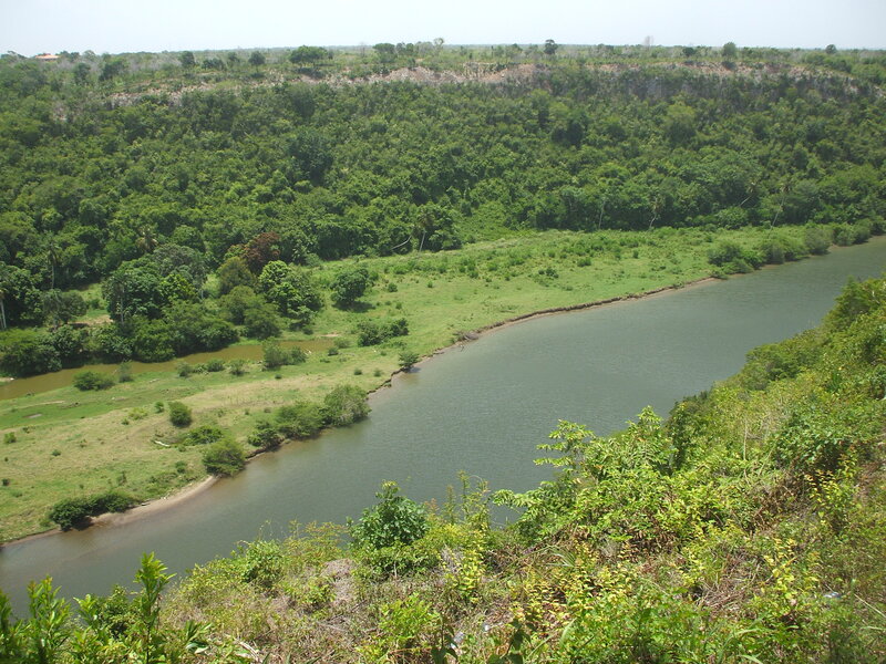 River in Tropical Valley — Green, Serene