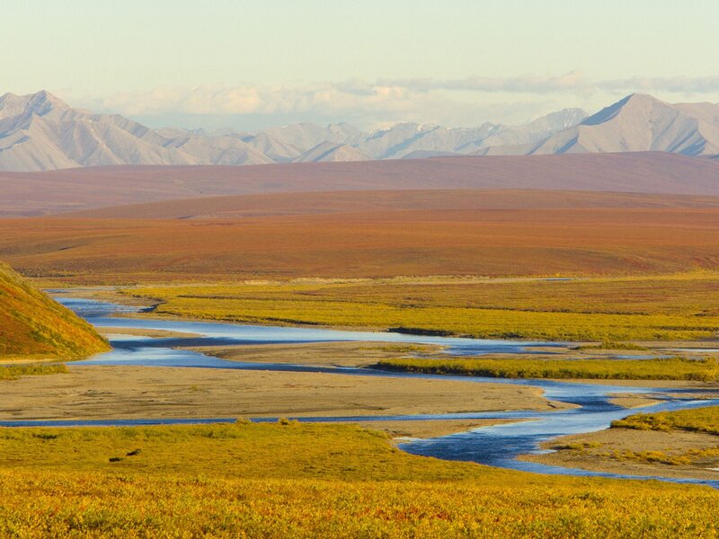 River in Tundra Landscape