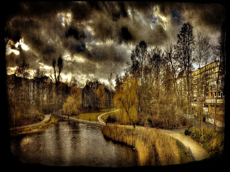 River in Urban Park — Brown