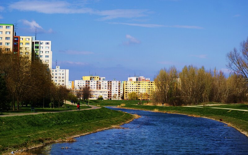 River in Urban Park