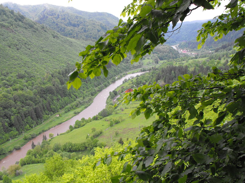 River in Valley — Green, Serene, Summer