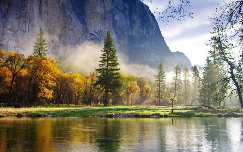 River in Valley with Trees