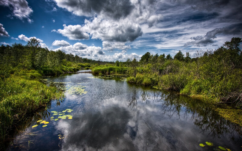 River in Wetland — Blue
