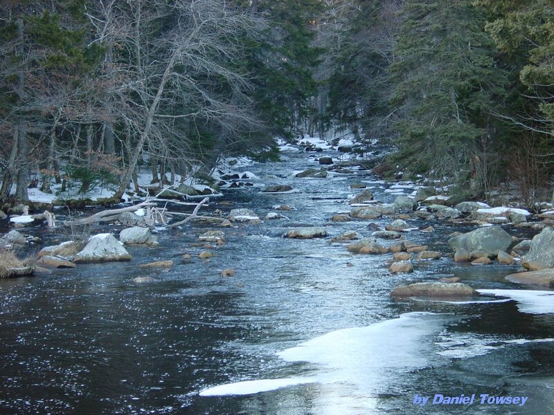 River in winter forest