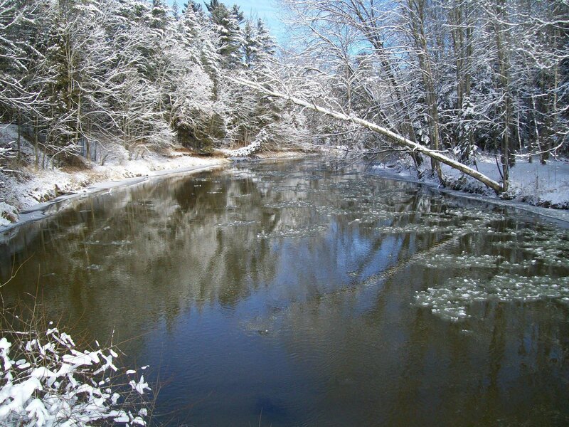 River in Winter Forest — Brown