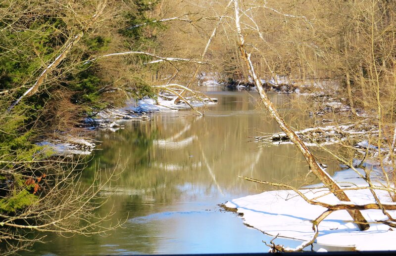 River in Winter Forest — Green, Serene