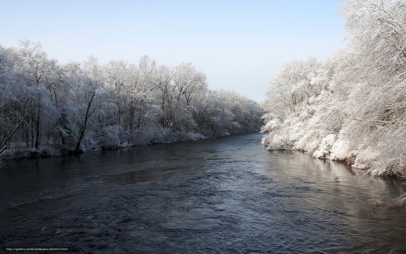 River in Winter Forest — White, Serene