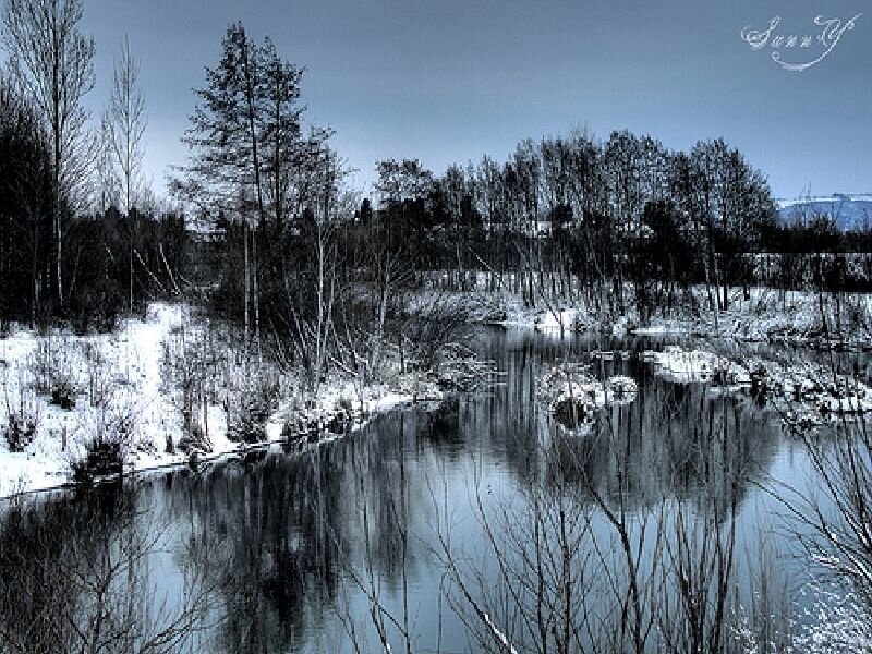 River in Winter Landscape — Blue, Cold, Photograph, Trees