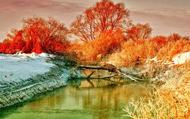 River in Winter Landscape — Red