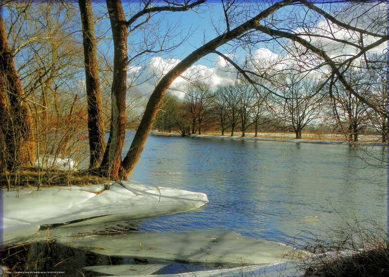 River in winter landscape