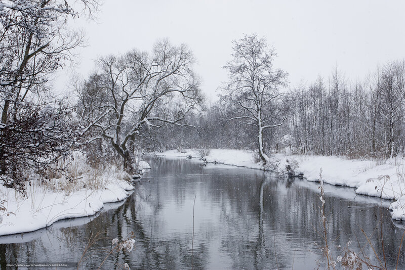 River in Winter Landscape — White, Serene, Photograph, Snow, Trees