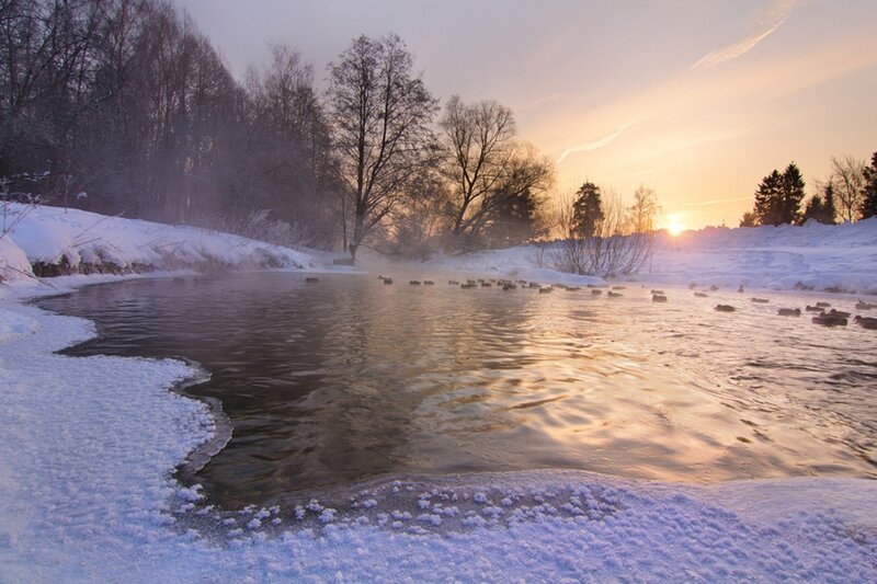 River in Winter Landscape — White, Serene, Photograph, Trees