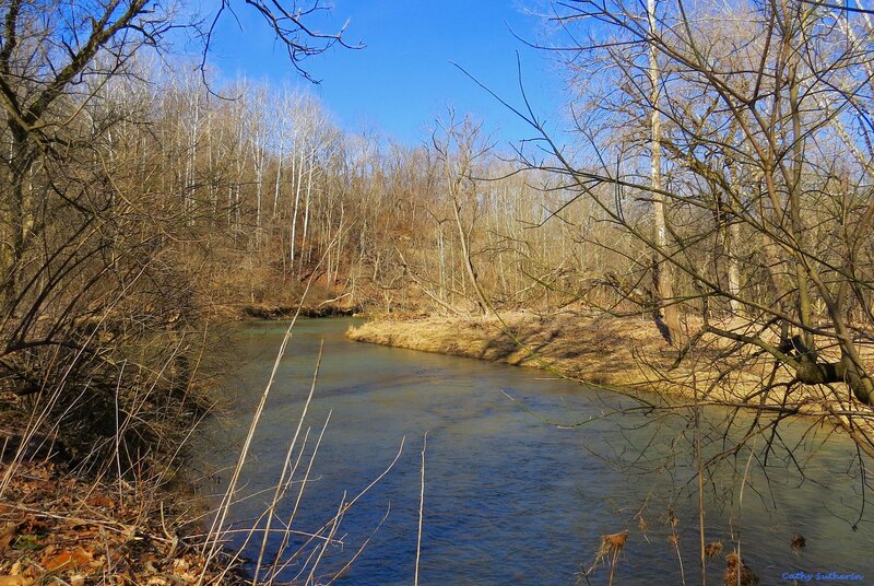 River in Wooded Area — Blue, Serene, Autumn