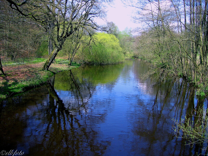 River in Wooded Area — Blue, Serene