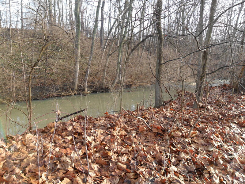 River in Wooded Area — Brown, Calm, Autumn