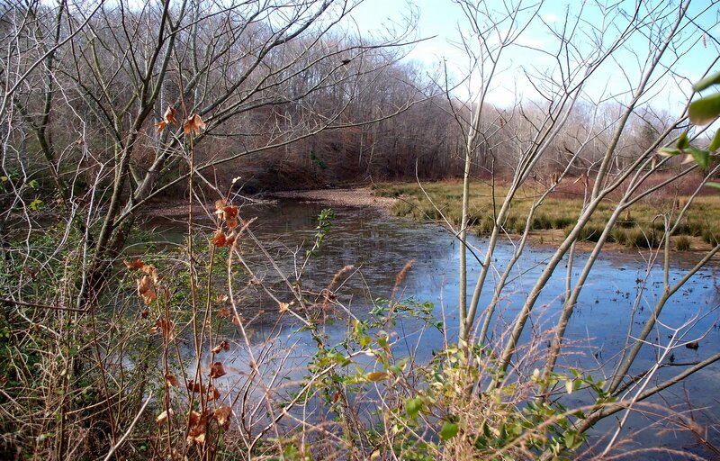 River in Wooded Area — Brown