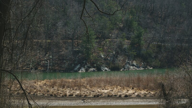 River in Wooded Area — Green, Calm