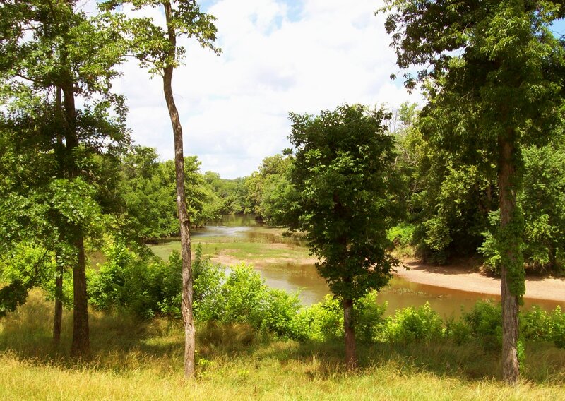 River in Wooded Area — Green, Serene, Afternoon, Photograph, Trees, Grass