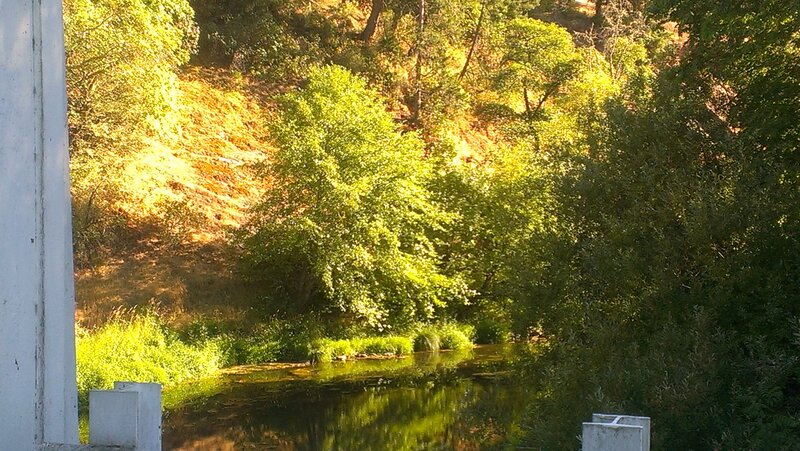 River in Wooded Area — Green, Serene, Afternoon, Photograph, Trees, Stream