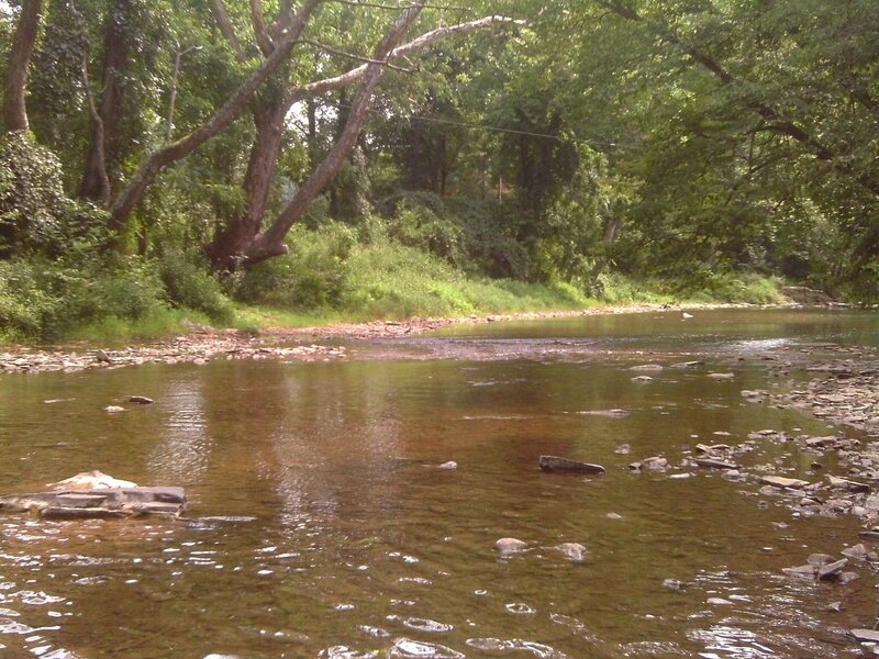 River in Wooded Area — Green, Serene, Afternoon, Photograph, Trees