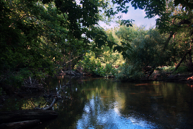 River in Wooded Area — Green, Serene, Afternoon