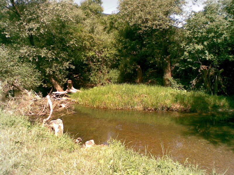 River in Wooded Area — Green, Serene