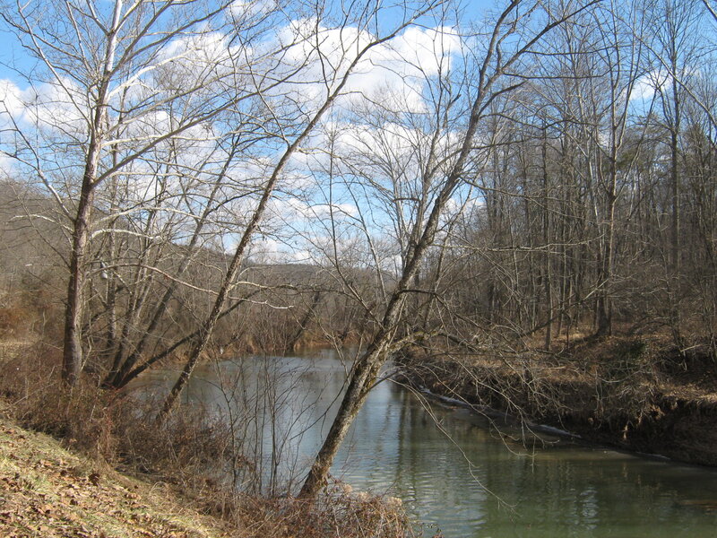 River in Wooded Area