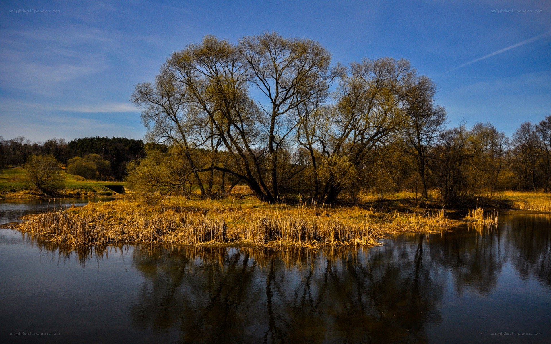 River island with trees at sunset