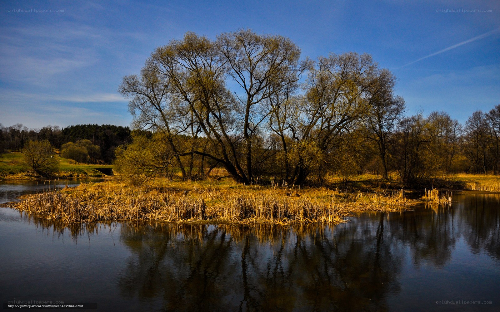 River island with trees