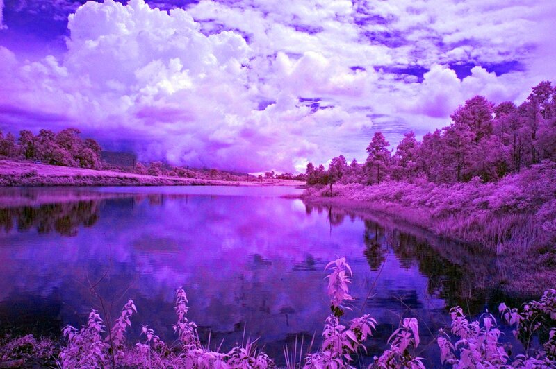 River Landscape — Purple, Dramatic