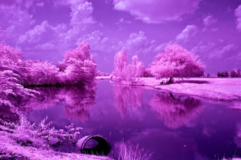 River Landscape — Purple, Serene