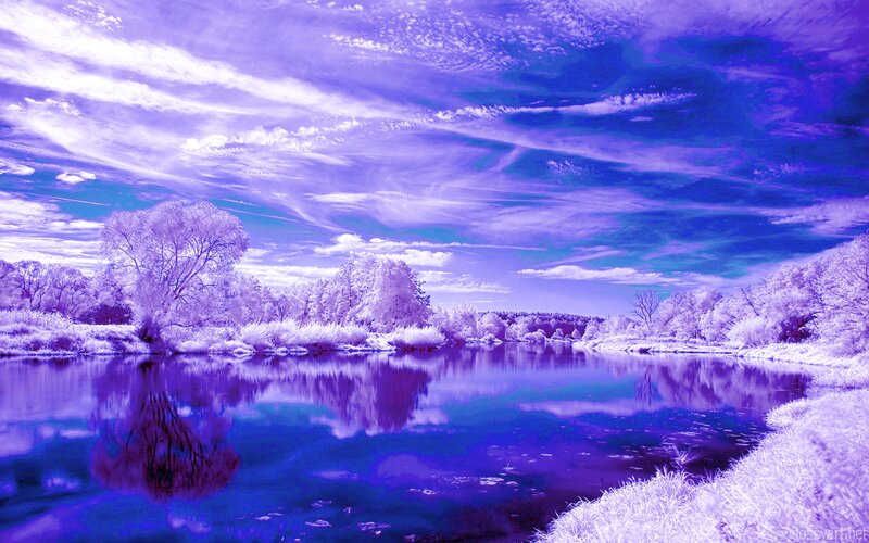 River Landscape — Purple