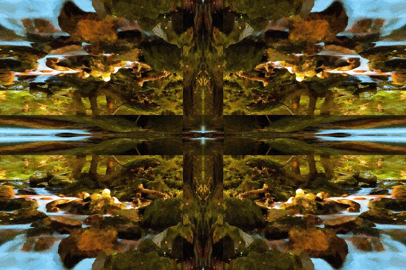 River Landscape Reflection