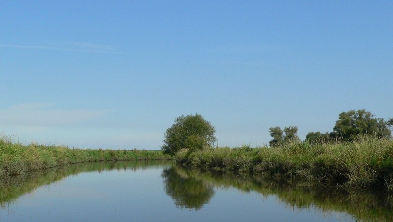 River landscape under clear sky