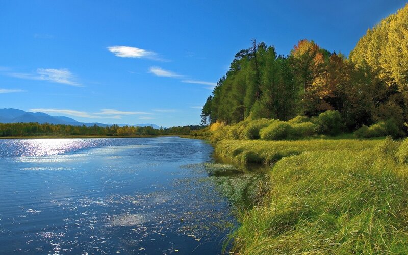 River landscape with autumn trees