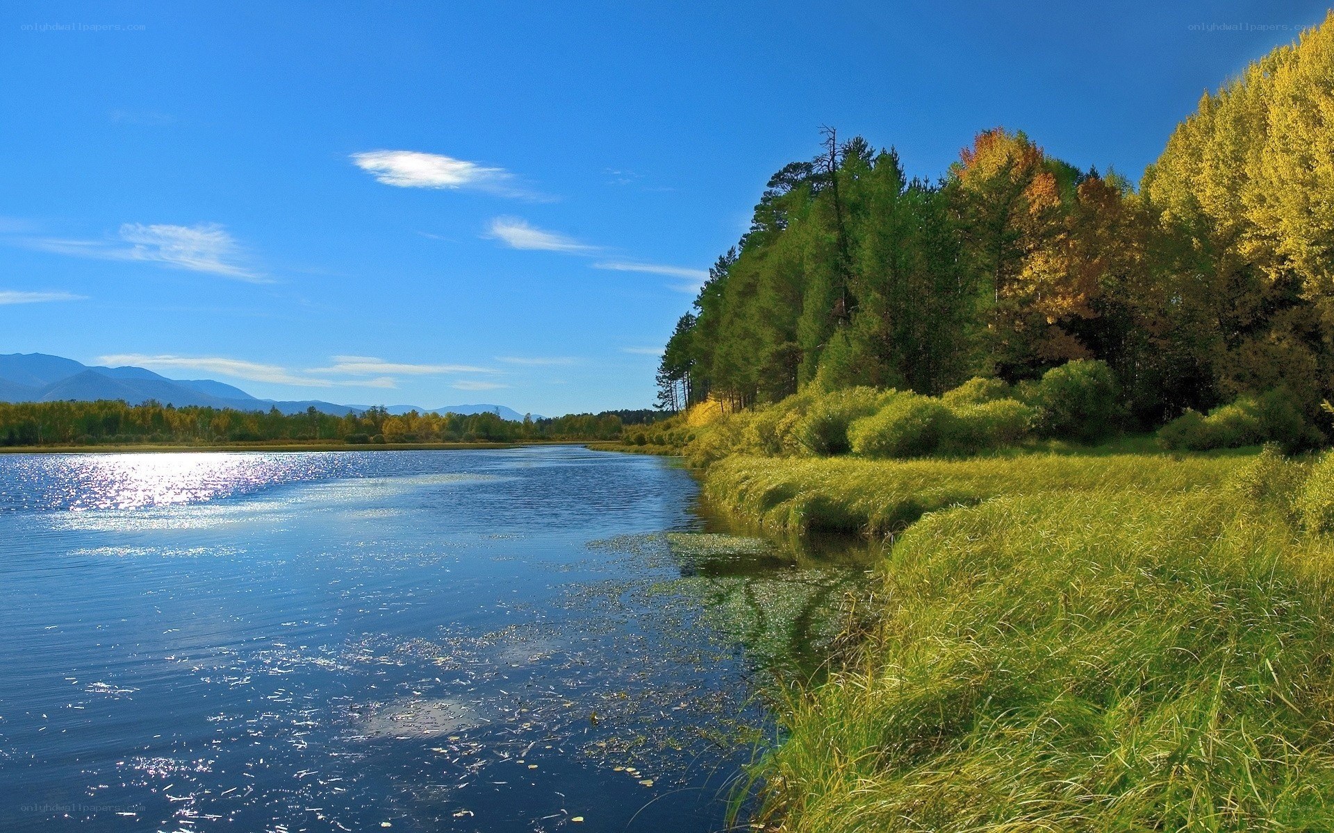 River landscape with autumn trees