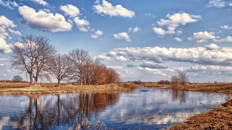 River landscape with bare trees