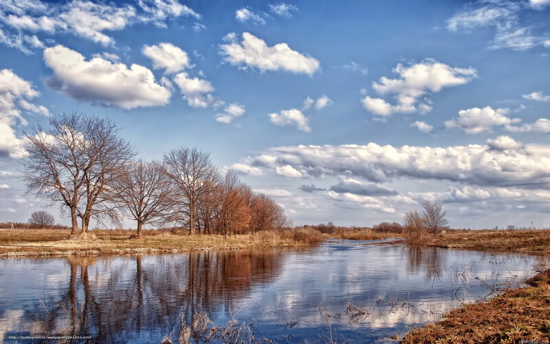 River landscape with bare trees