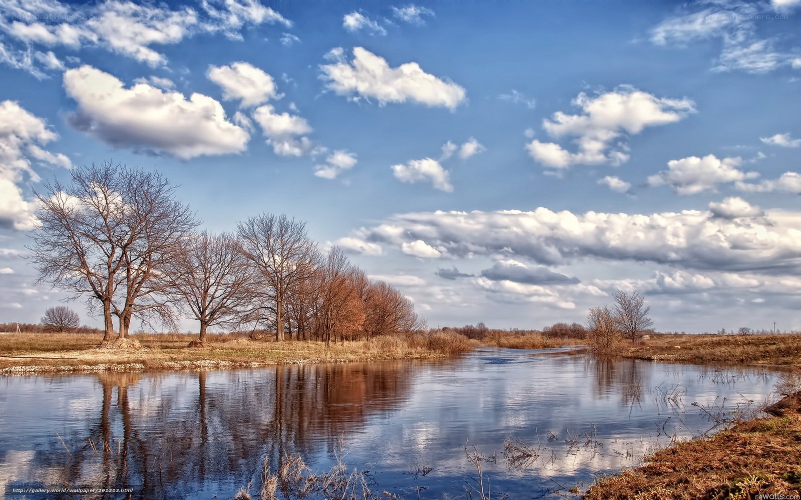 River landscape with bare trees