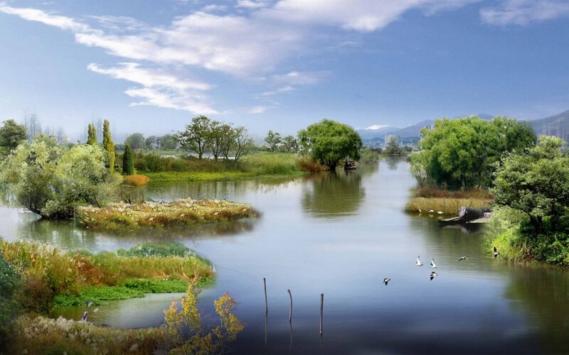 River landscape with birds and boats