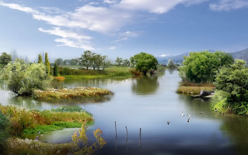 River landscape with birds and trees