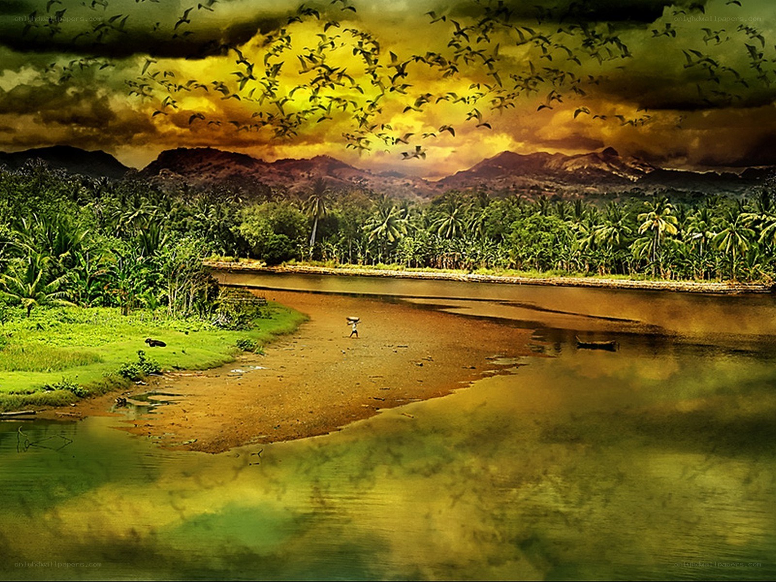 River landscape with birds