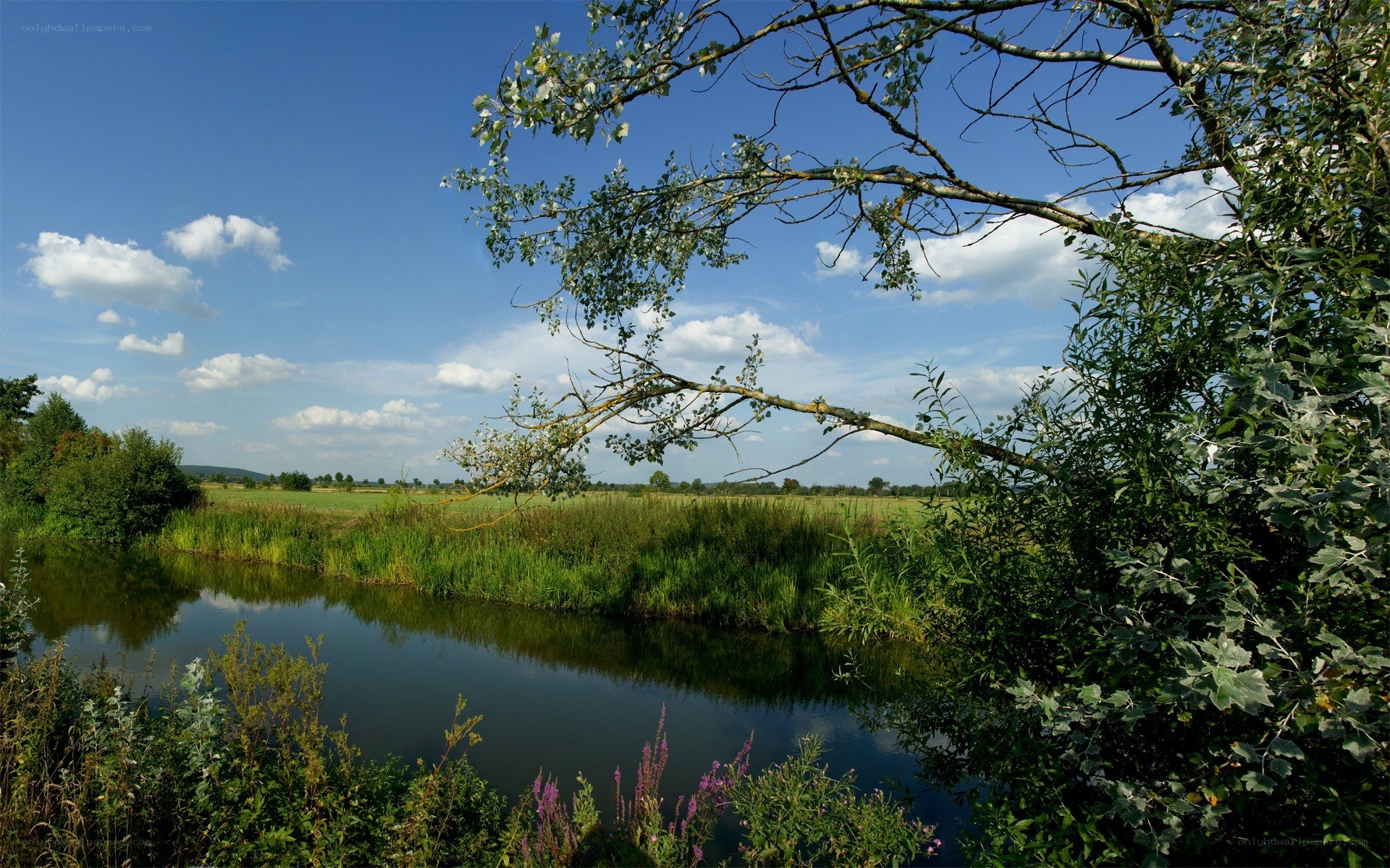 River landscape with blue sky