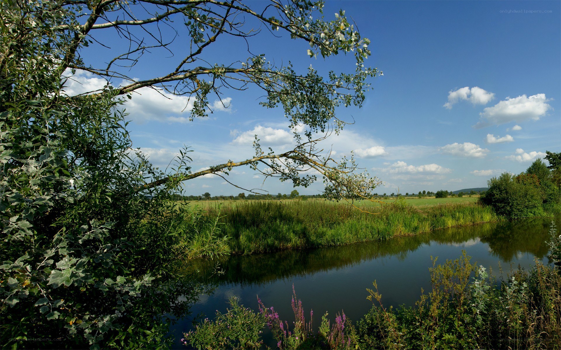 River landscape with blue sky