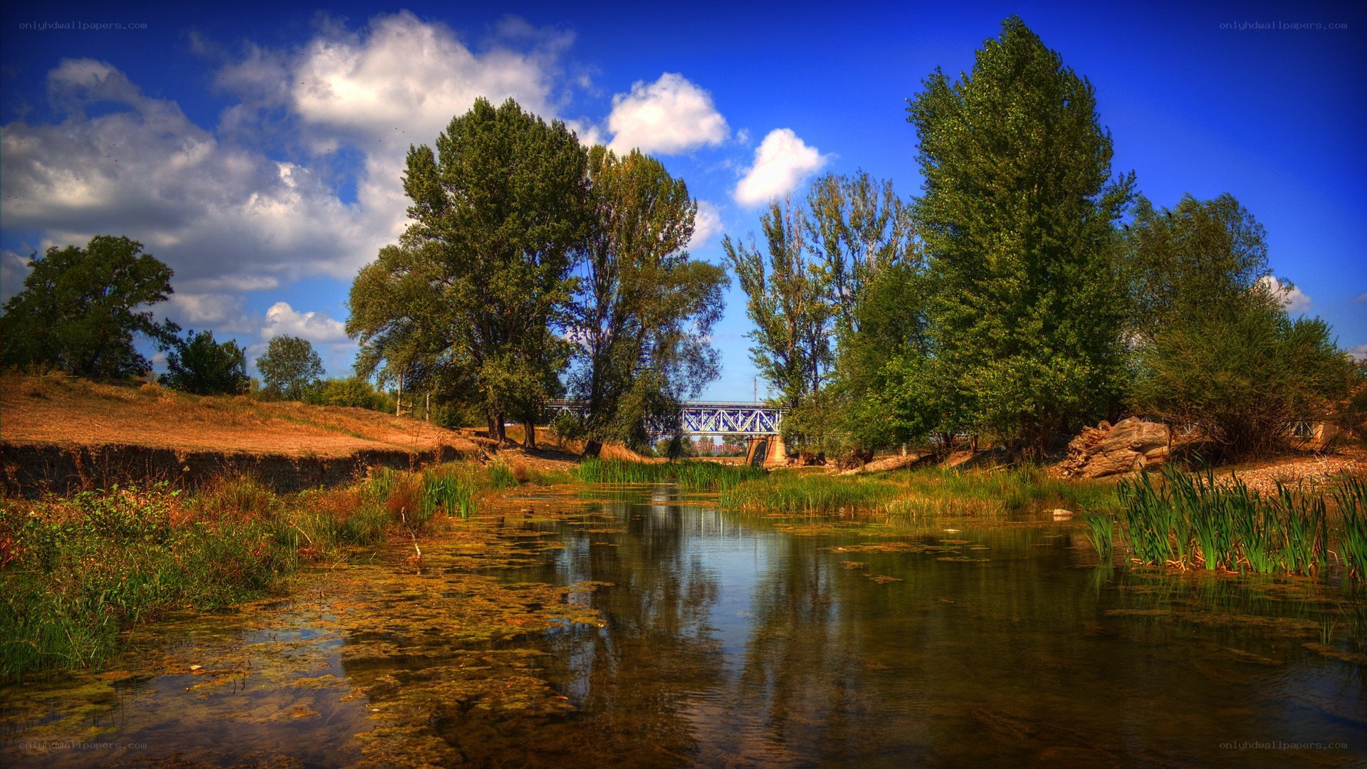 River landscape with bridge