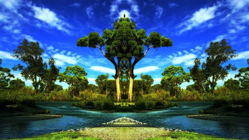 River landscape with central tree