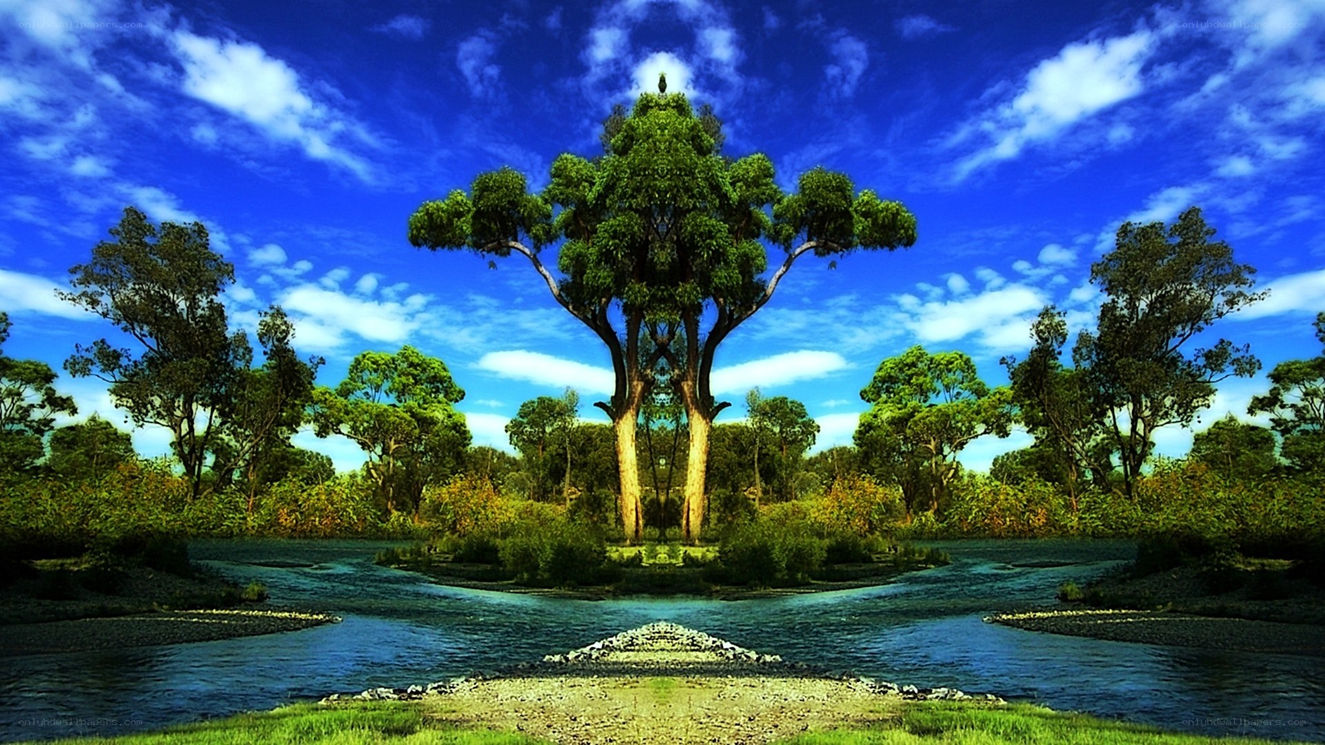 River landscape with central tree