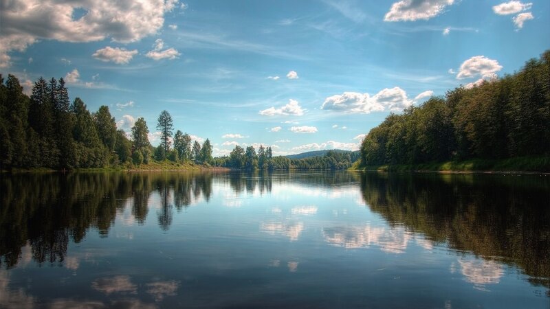 River landscape with forest