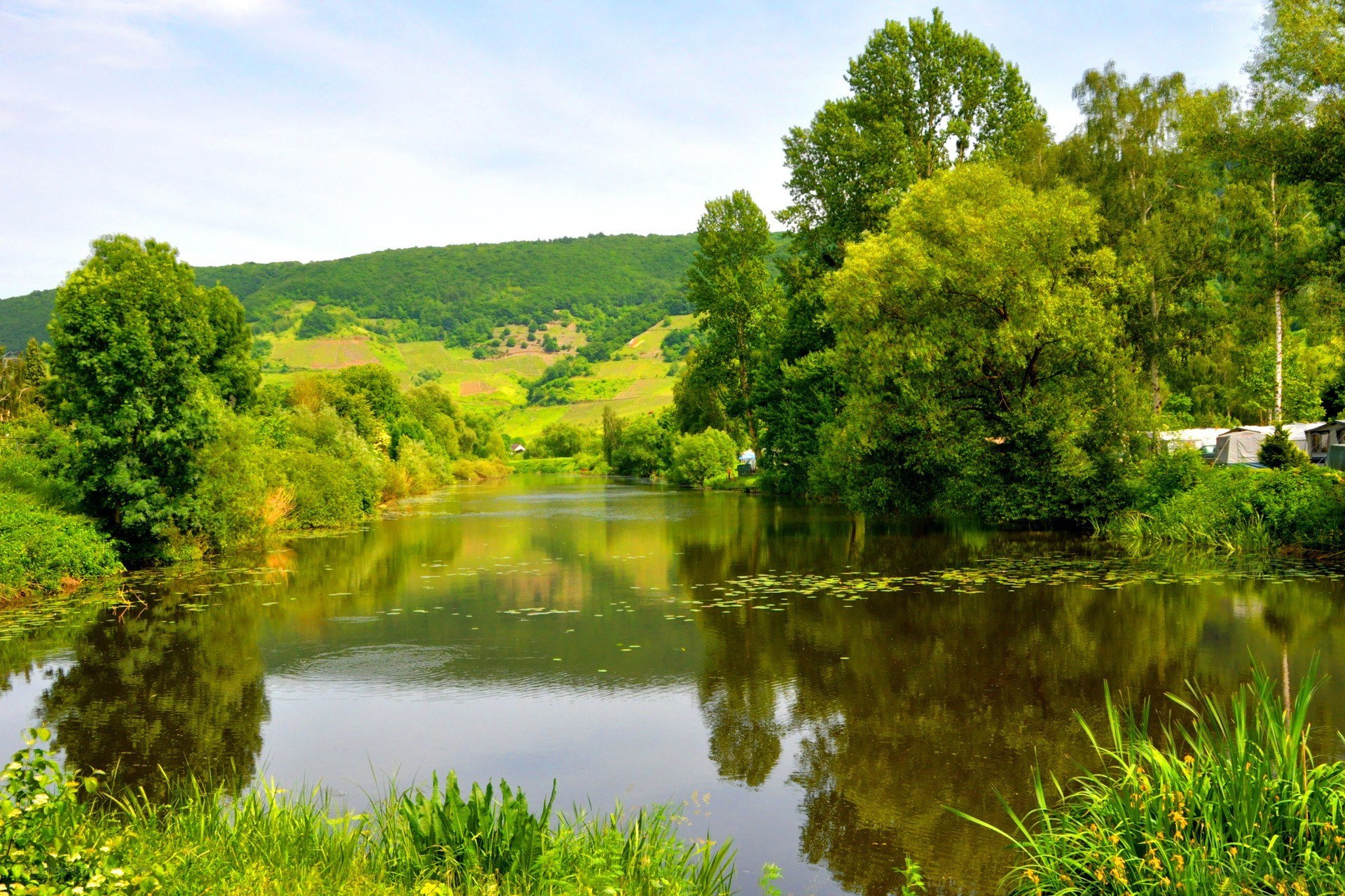 River landscape with green hills