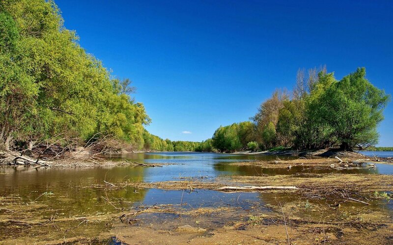 River landscape with green trees